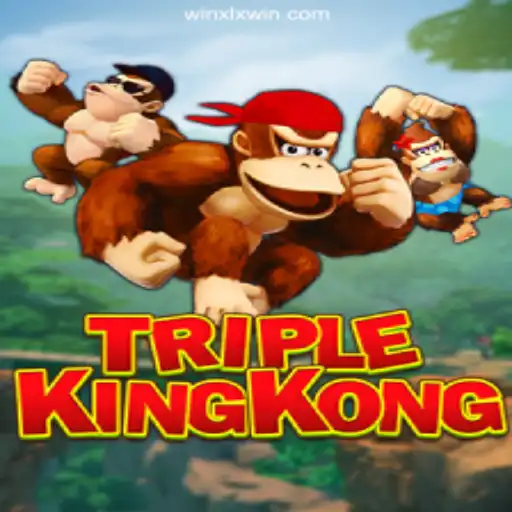 Experience the Thrills of 